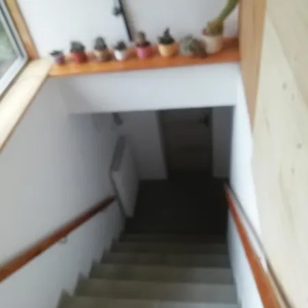 Apartment Suchdol