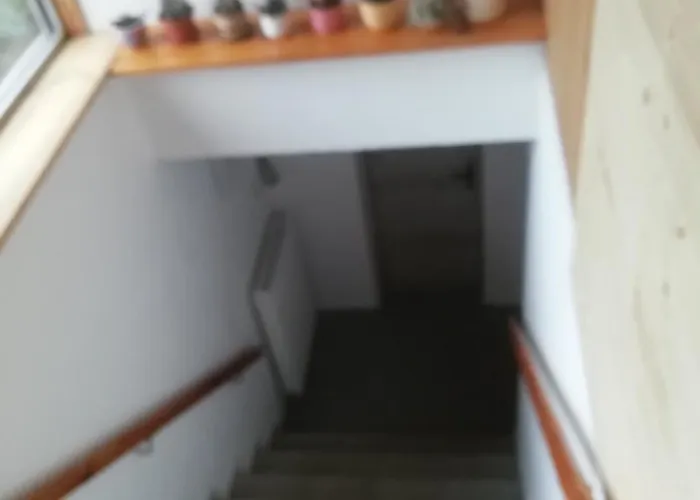 Appartement Suchdol